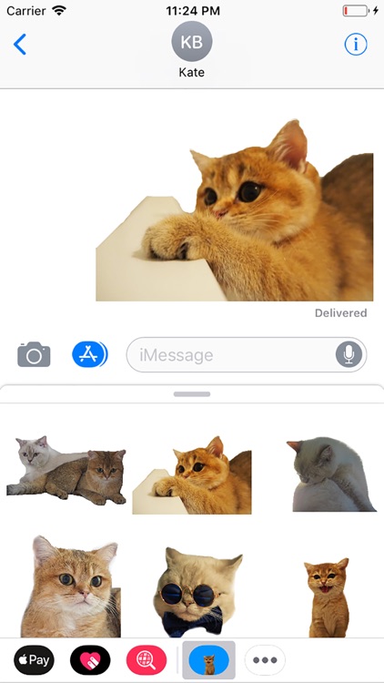 Happi and Kitsune Stickers