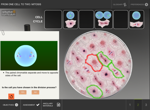From One Cell to Two: Mitosis screenshot 2