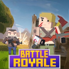 Activities of Pixel Battle Survival