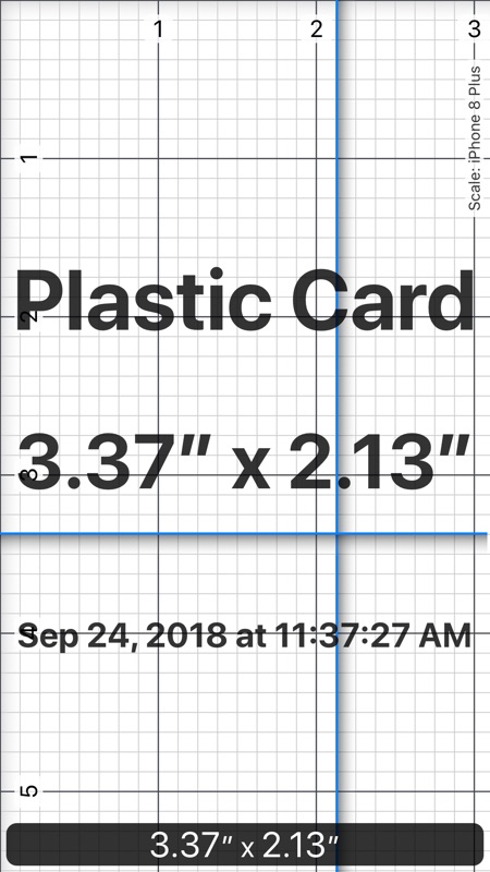 accurate ruler iphone