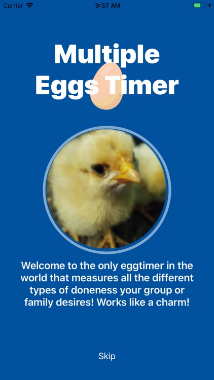 Multiple eggs timer