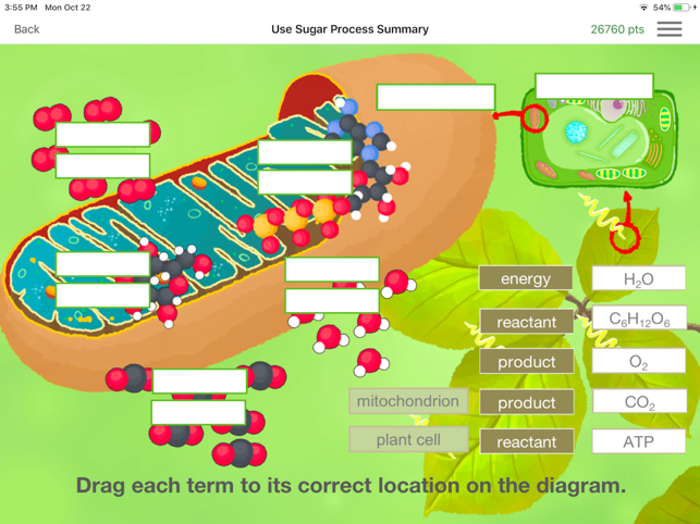 CellEnergy Photosynthesis Labs(圖8)-速報App