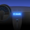 Icon Advanced car audio setting