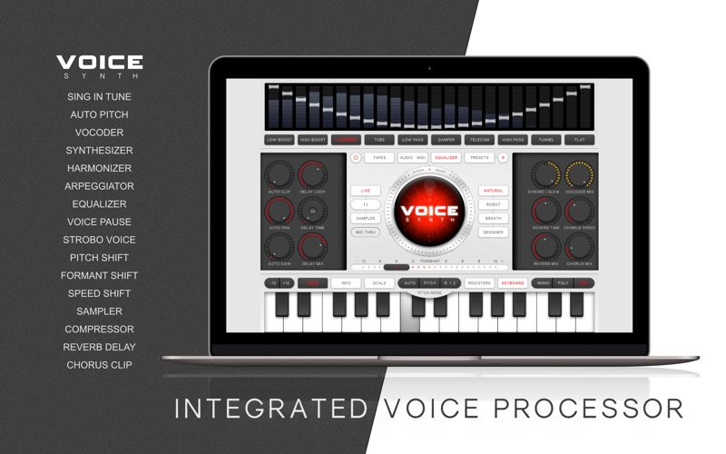 Voice Synth screenshot1