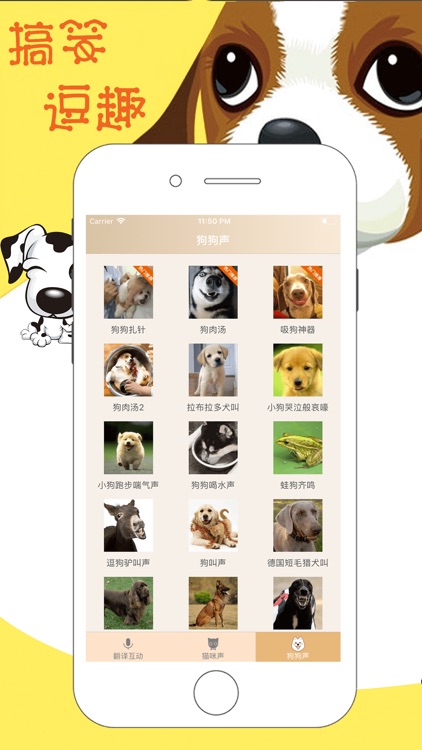 人狗语言翻译器