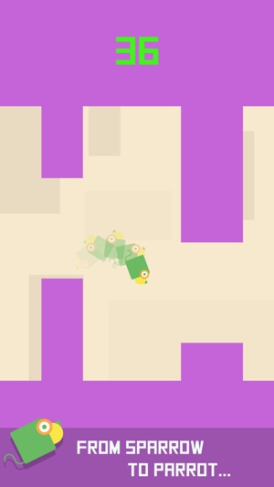 Square Bird Watch - Block Jump(圖3)-速報App