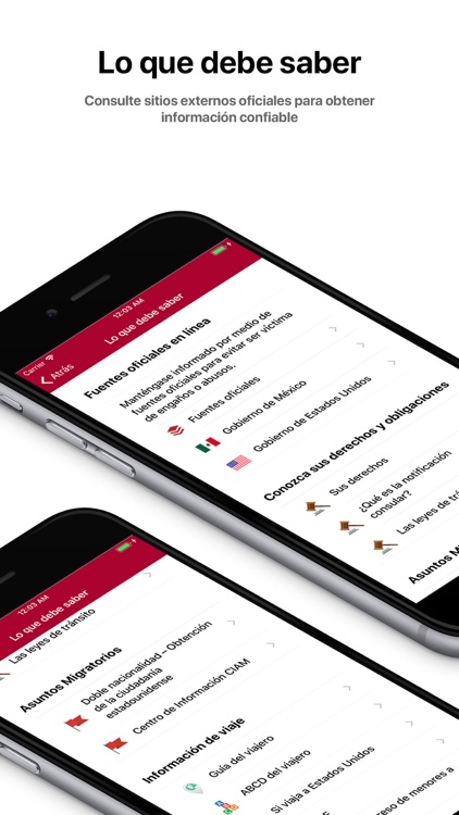 MiConsulmex screenshot-4