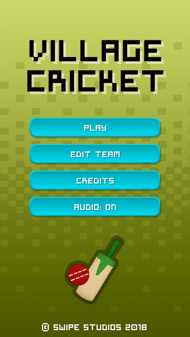 Village Cricket screenshot 1