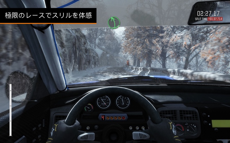 DiRT Rally screenshot1