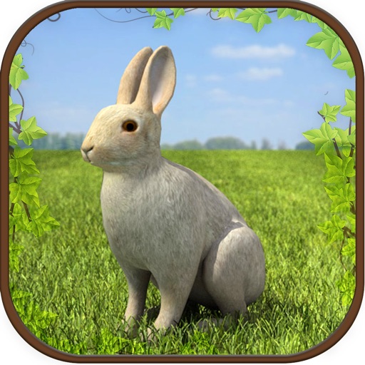Extreme Rabbit 3D Simulator icon