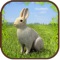 Extreme Rabbit 3D Simulator