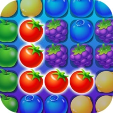 Activities of Block Fruit Puzzle