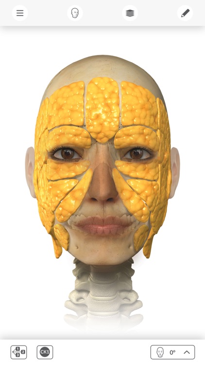 İNTERAKTİF ANATOMİ