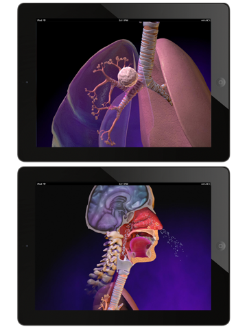 Animated Physiology & Anatomy screenshot 2