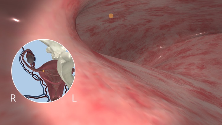 Anatomyou VR screenshot-3