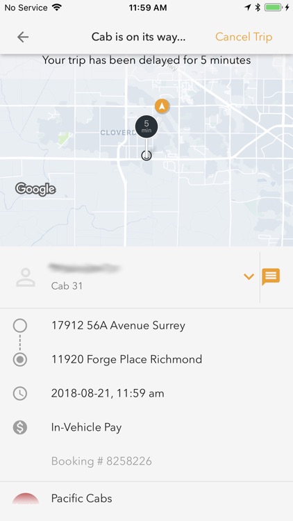 Pacific Cabs screenshot-8