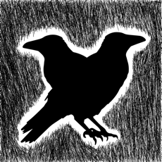 Activities of Two Dreams