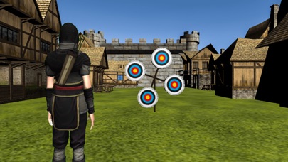 Archery Training Match screenshot 2