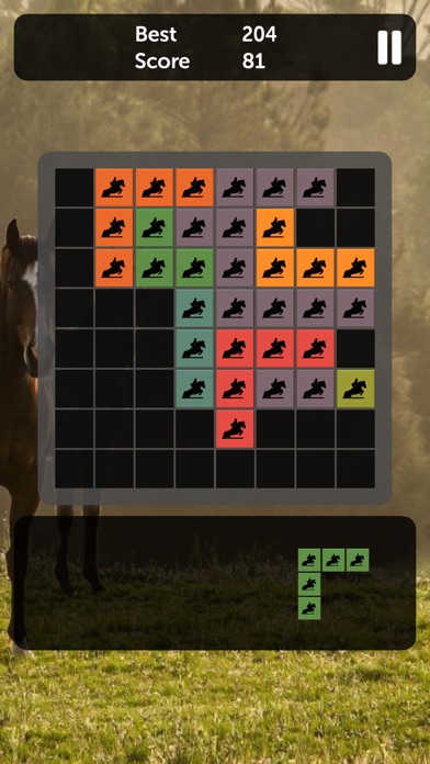 Horse Blocks - Puzzle Games screenshot 2