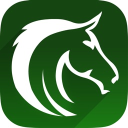 e ponies computer picks
