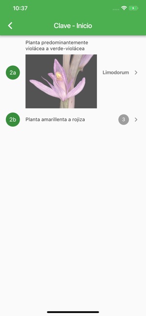 Orquídeas Ibéricas(圖3)-速報App