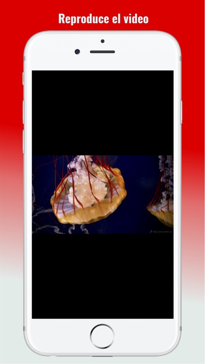 MyDisk (Spanish) screenshot-4