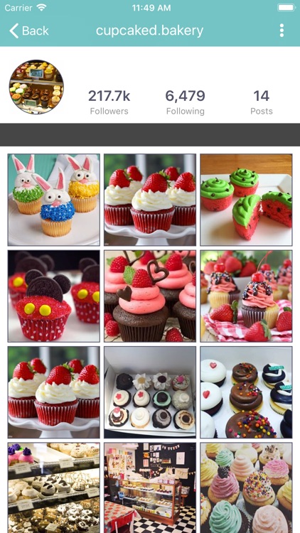 Followers Plus on Instagram screenshot-8