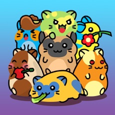 Activities of Hamster Collector Game