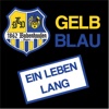 TSV 1862 Babenhausen