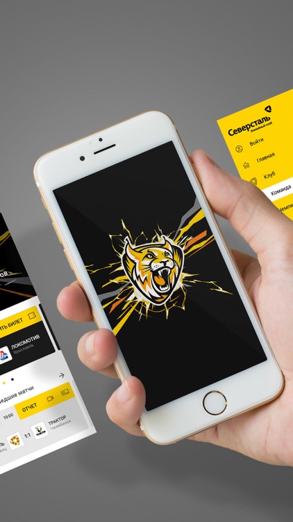 ХК Северсталь