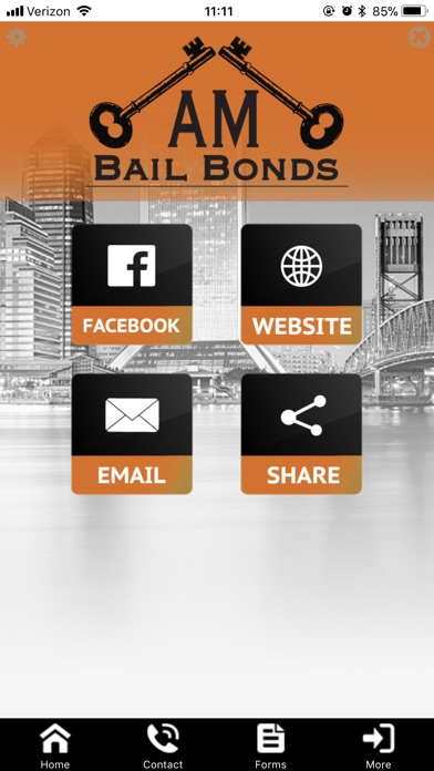 AM bail Bonds screenshot 2