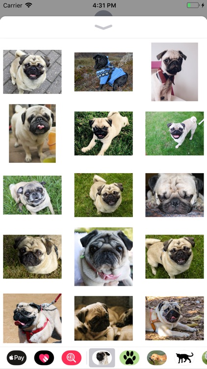 Pug Sticker Pack screenshot-4