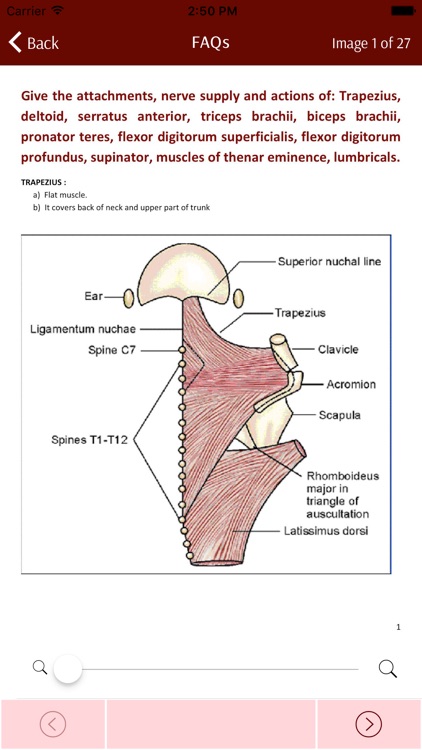CBSiCentral screenshot-3