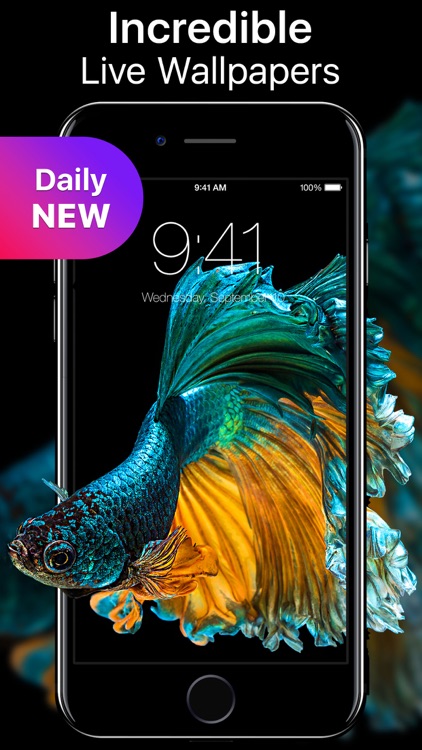 Live Wallpapers and Themes Now screenshot-0