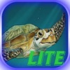Rescuer Turtle Pro