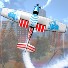 Activities of Airplane Flight Simulator Game