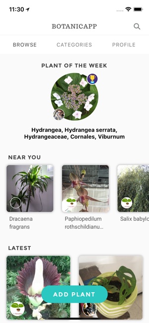 Botanicapp(圖1)-速報App