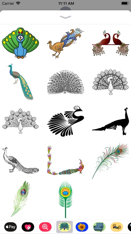Pretty Peacock Stickers