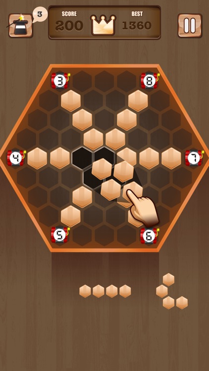 Wooden 100 Block - Hexa Puzzle