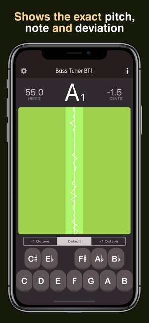 Bass Tuner BT1(圖2)-速報App