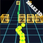 snake and blocks 3d