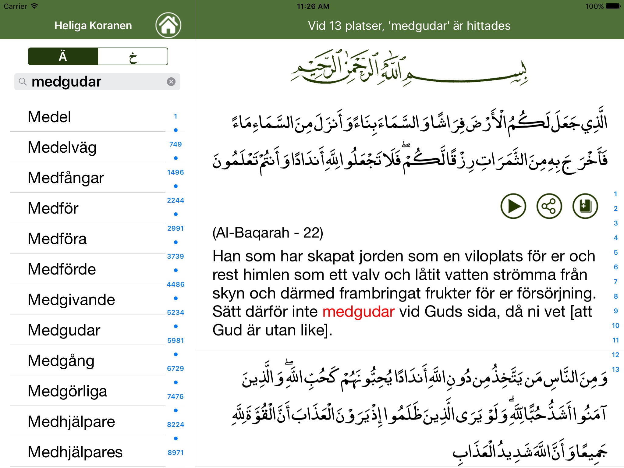 Koranen på Svenska screenshot 4