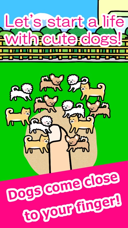 Play with Dogs