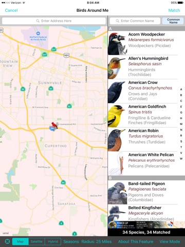 iBird Lite Guide to Birds screenshot 3