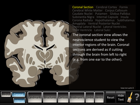 Cerebrum ID screenshot 2