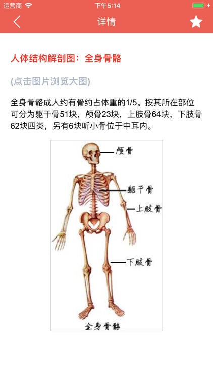 人体解剖图 - 全彩高清医学专业典籍 screenshot-4