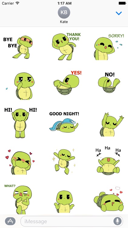 The Fastest Turtle Sticker