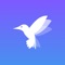 Flitter is a new Twitter app on the market, but how does it compare with Tweetbot and Twitterrific