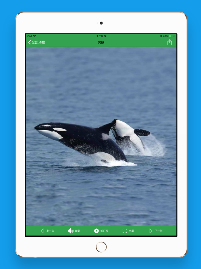 AnimalSounds - 动物叫声