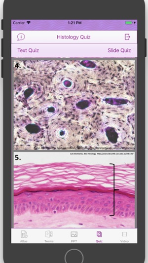 Histology Cell Tissue(圖6)-速報App